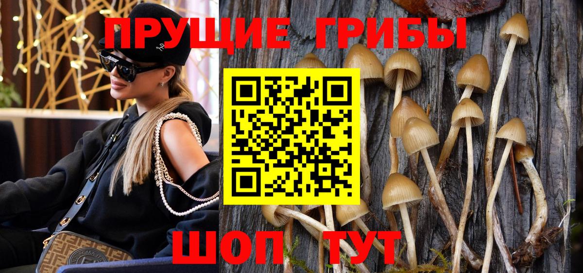 Галлюциногенные грибы Magic Shrooms  Галлюциногенные грибы Psilocybine cubensis  Электрогорск  Вход с VPN 